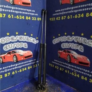 AMORTIGUADOR PORTON