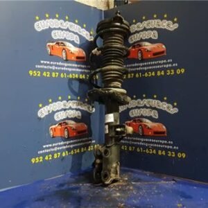 AMORTIGUADOR DEL. DCHO.