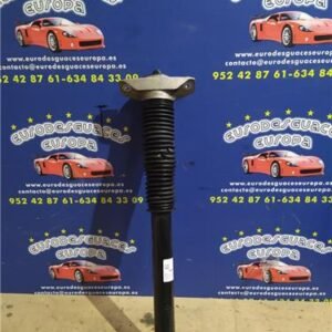 AMORTIGUADOR TRA. DCHO.