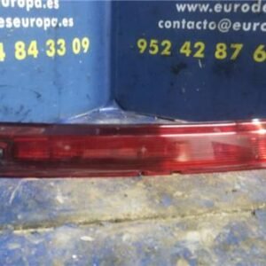 LUZ CENTRAL DE FRENO